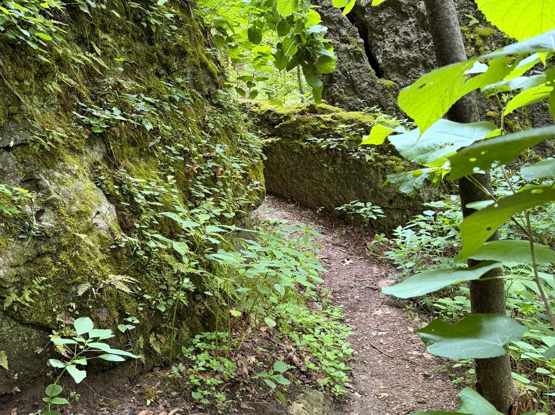 The Highlands Nature Sanctuary-Bainbridge - Ross County必去景点