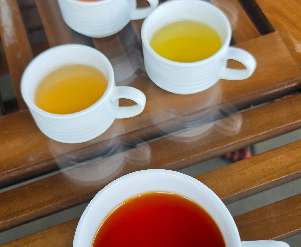 Glenloch Tea Factory-Katukitula必去景点