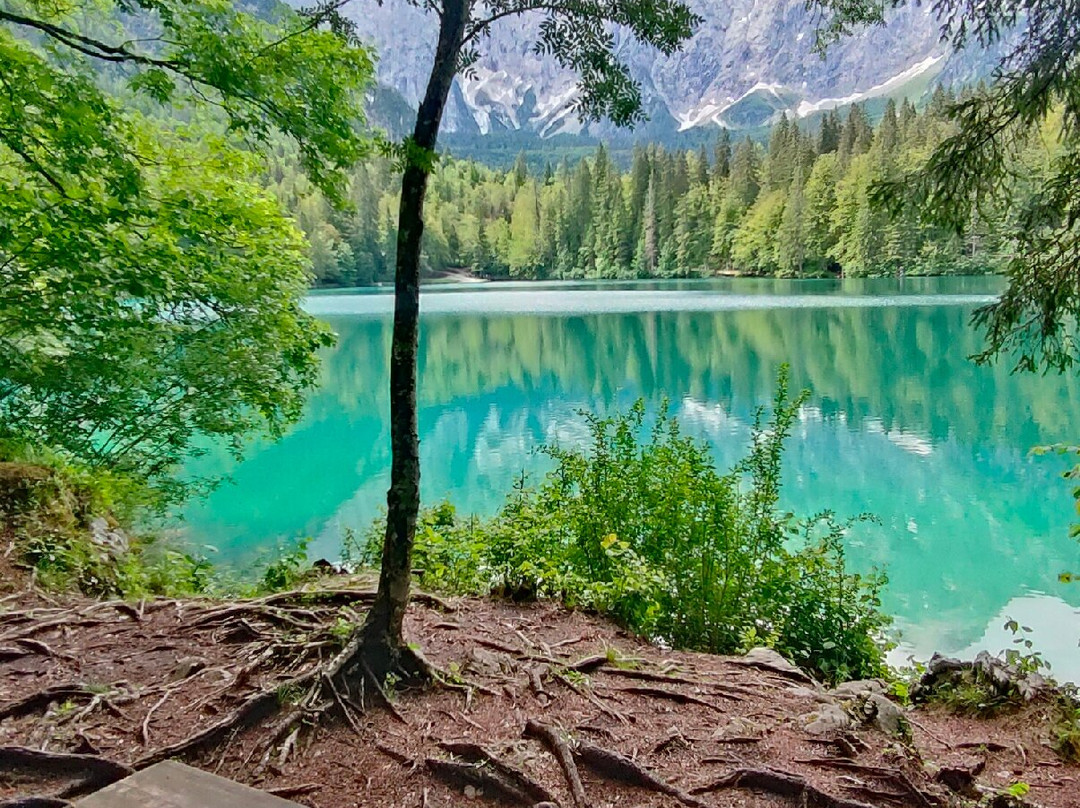 Laghi Di Fusine-Tarvisio必去景点