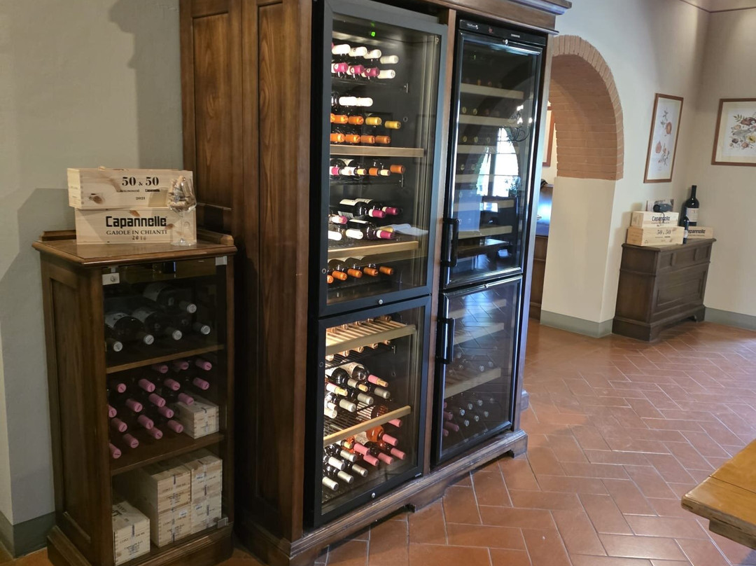 卡潘尼尔葡萄酒度假酒店主图