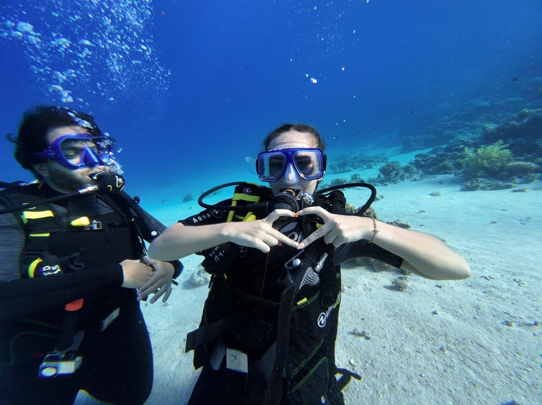 Fish & Friends Diving Centre-达哈卜必去景点