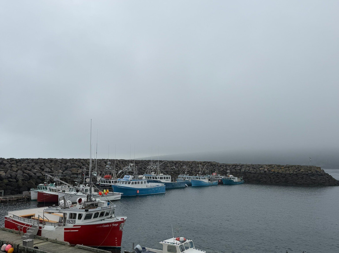 Adventure Bay Whale Watch Co.-Tiverton必去景点