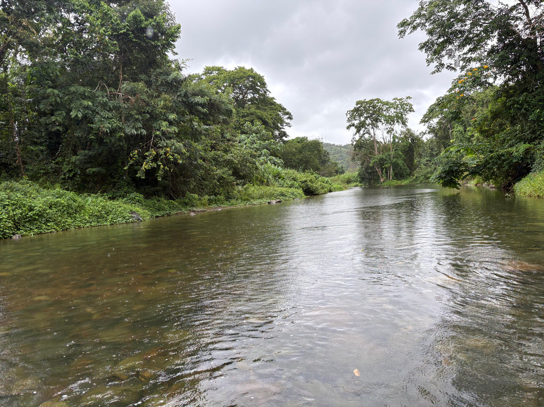 Carabali Rainforest Park-Luquillo必去景点