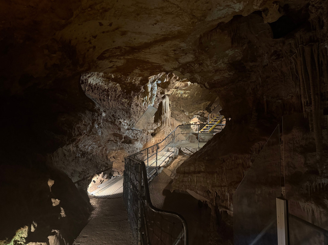Grotte de Baume Obscure-Saint-Vallier-de-Thiey必去景点