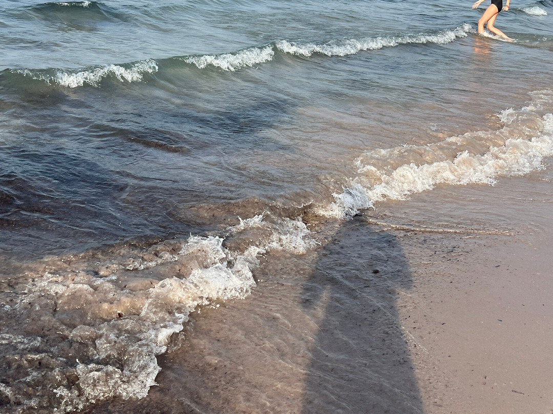 Plage de Calvi-卡尔维必去景点