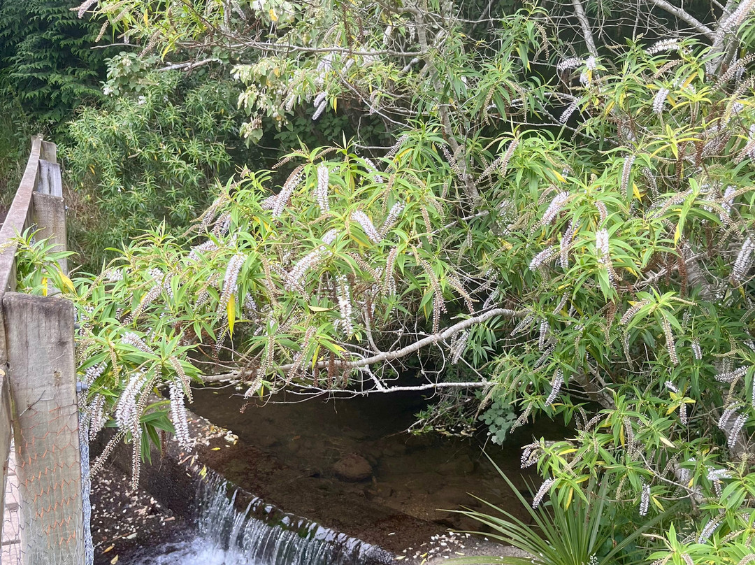 Washpen Falls-Darfield必去景点