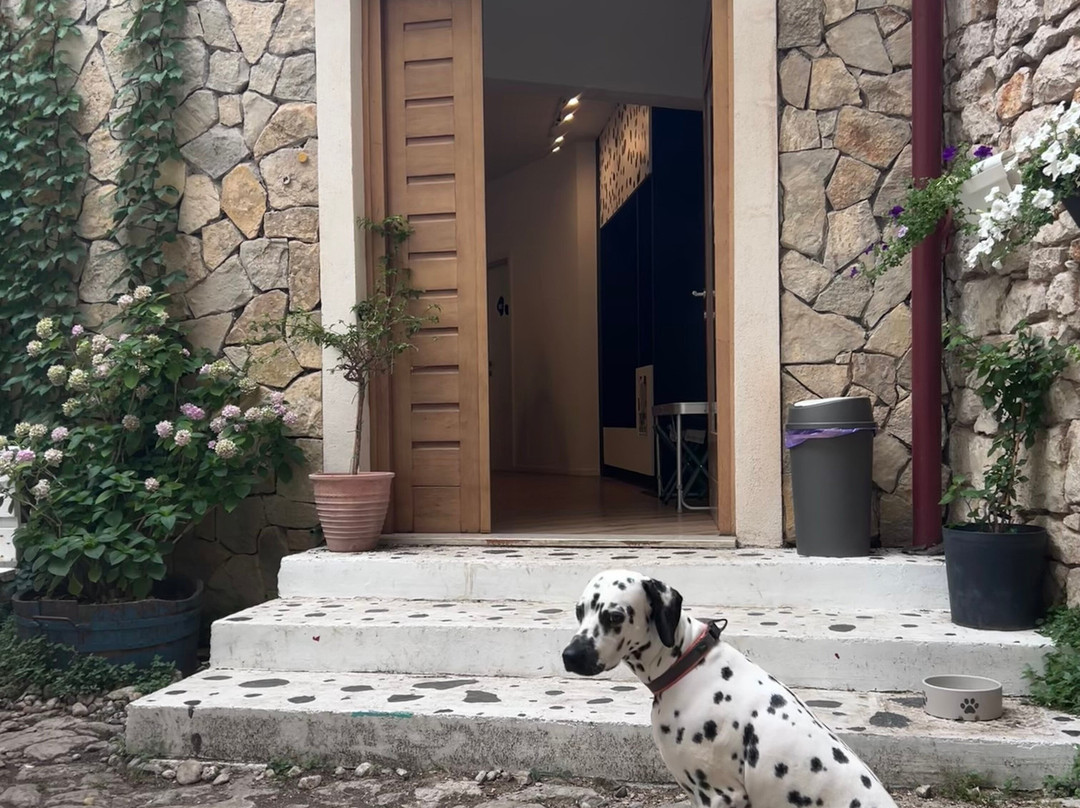 Home Of The Dalmatian Dog-希贝尼克必去景点