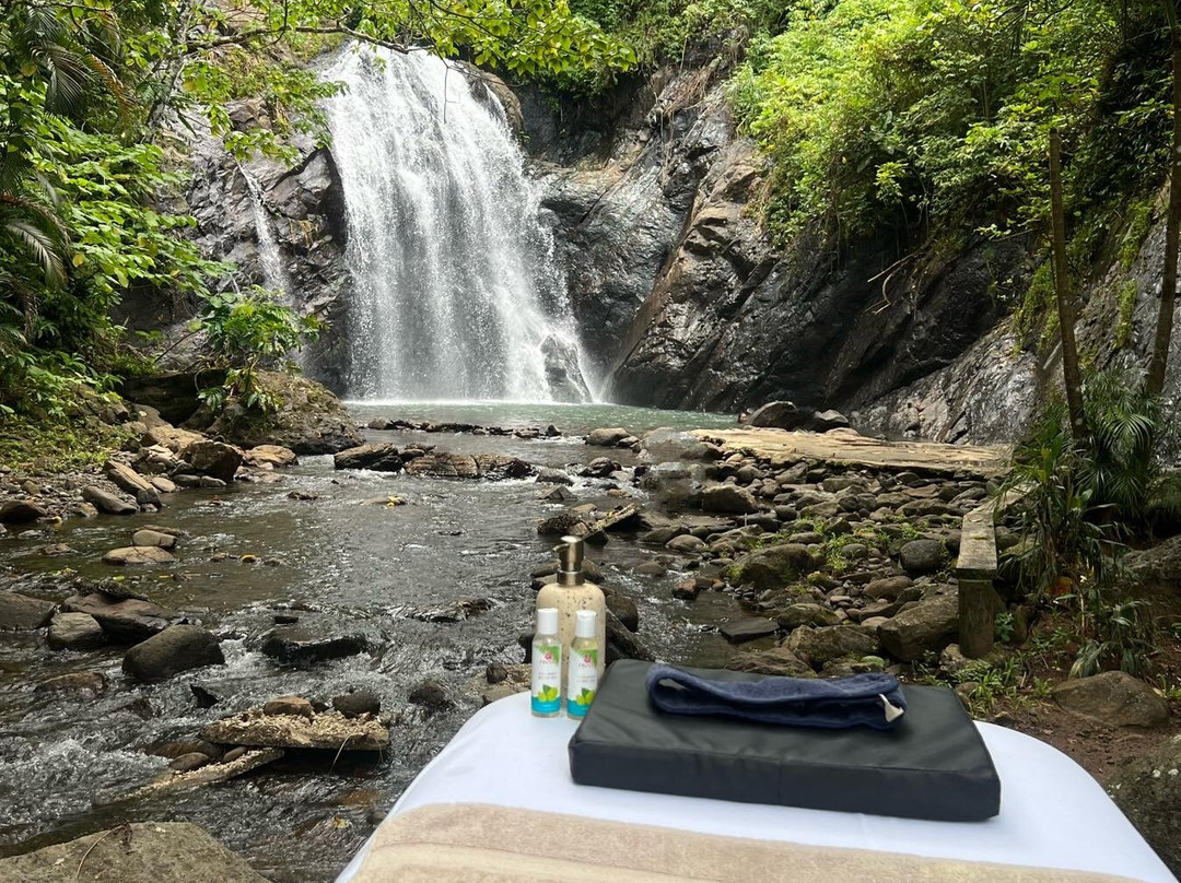 Vuadomo Waterfall - Muanivatu Trails-萨武萨武必去景点