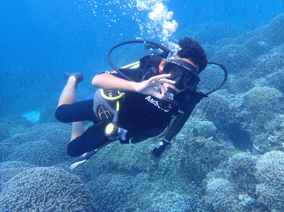 Menjangan Tour Snorkeling & Diving-Pejarakan必去景点