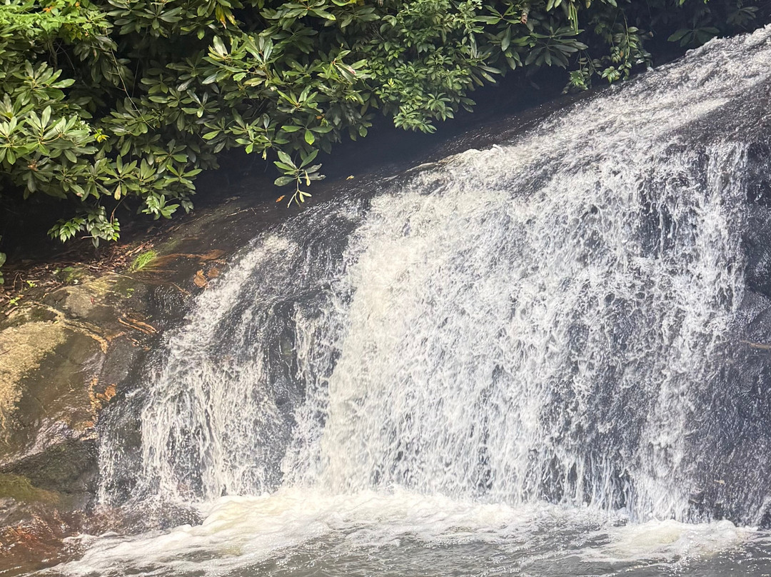 Lake Glenville Scenic Waterfall Cruises-Cashiers必去景点