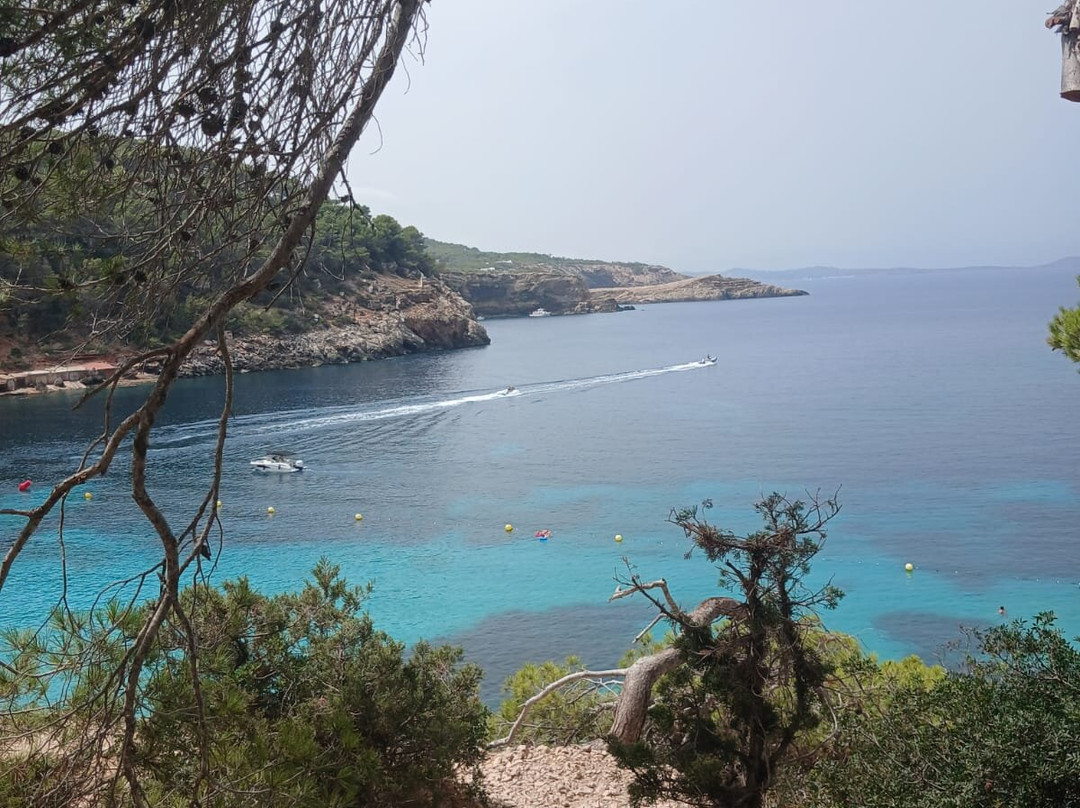 Cala Saladeta-圣安东尼德波特曼尼必去景点
