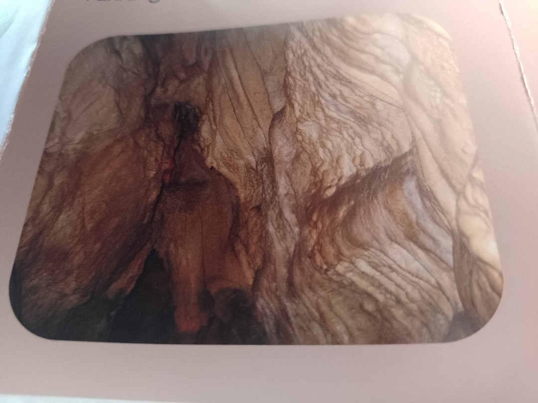 Allander Tropfsteinhöhle-Alland必去景点
