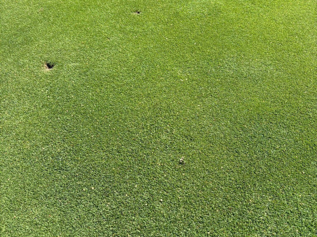 Amber Baltic Golf Club-Kolczewo必去景点