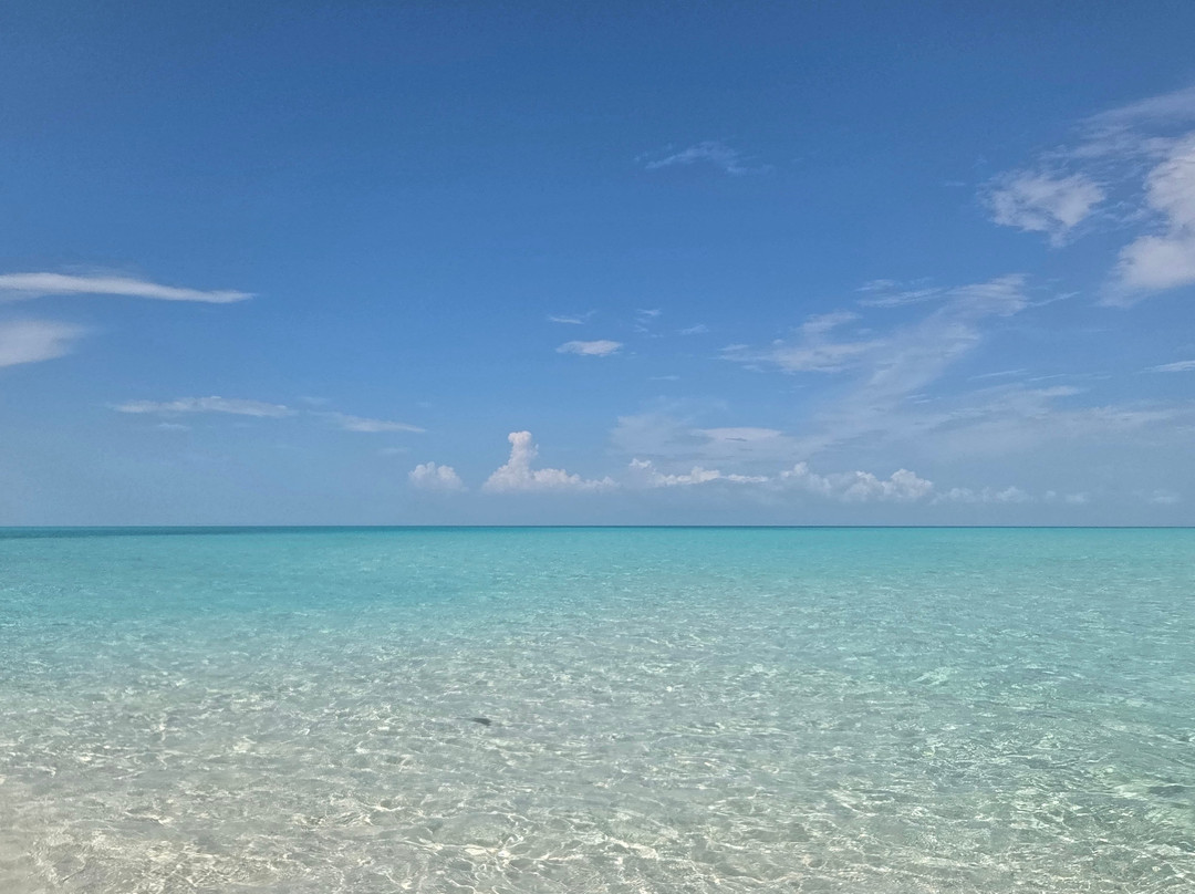 Disney Castaway Cay-Sandy Point必去景点