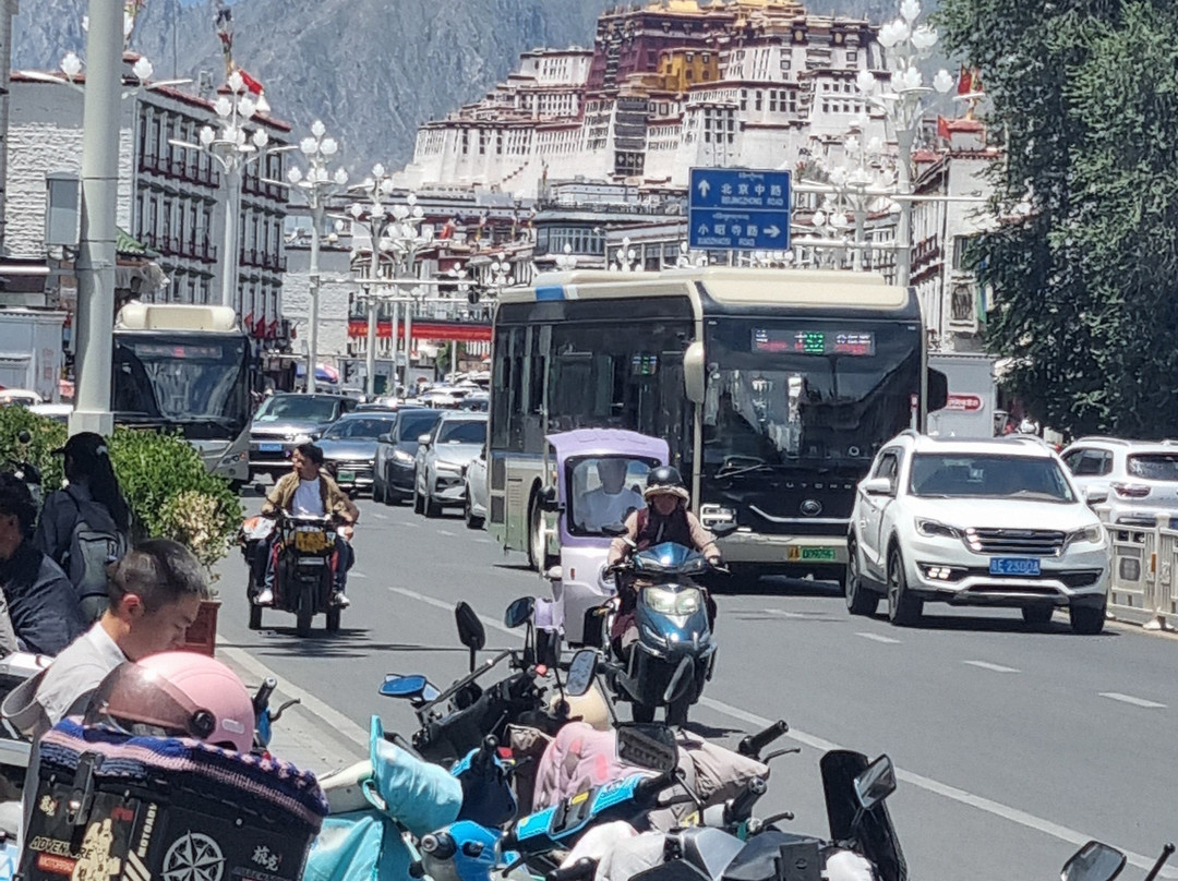 Xizang Vista-拉萨市必去景点