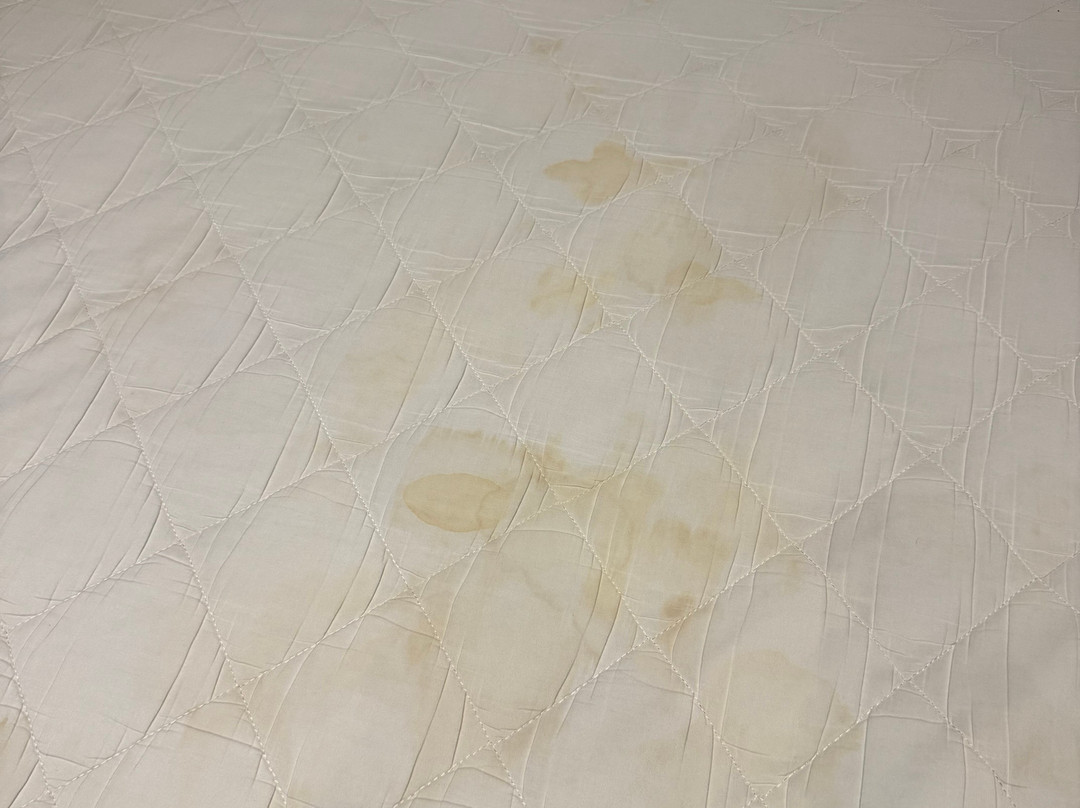 普莱奇斯科普酒店主图