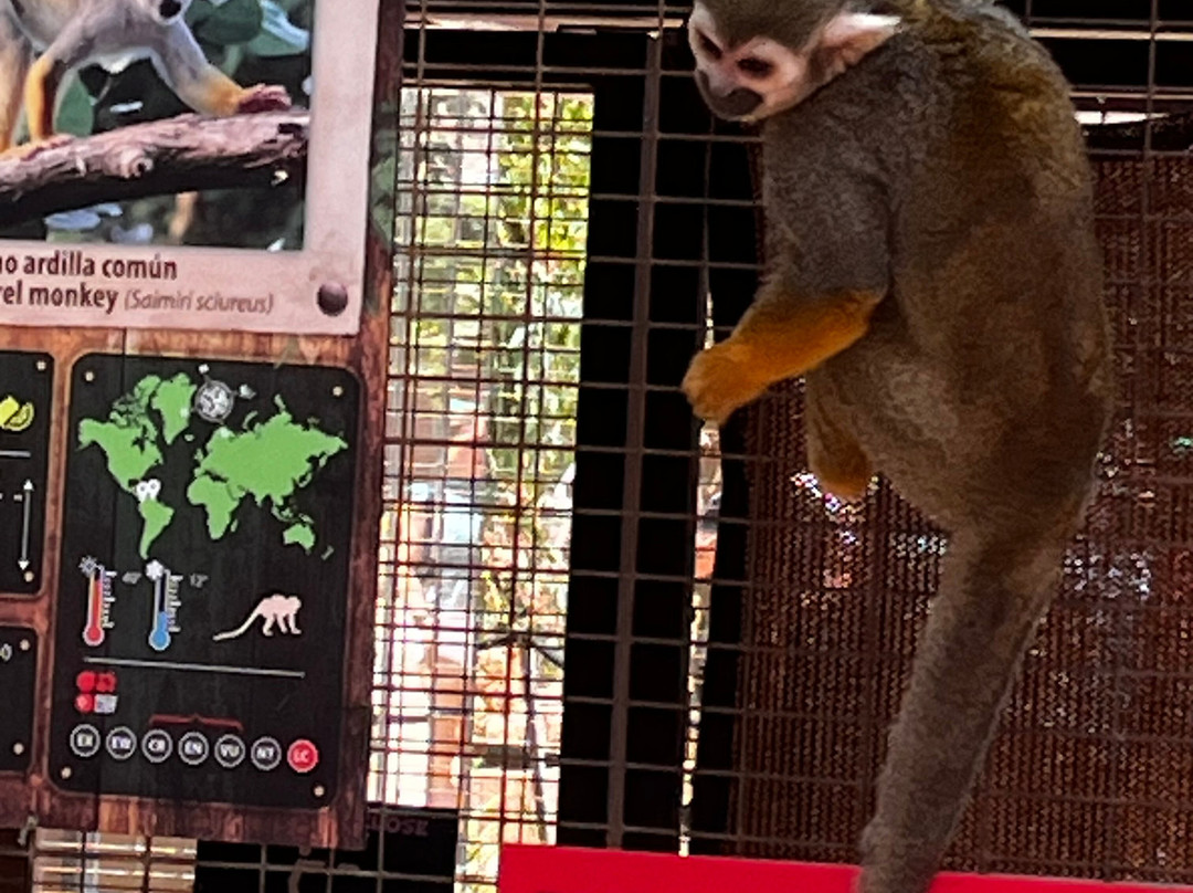 Monkey Park-洛斯克里斯蒂亚诺斯必去景点