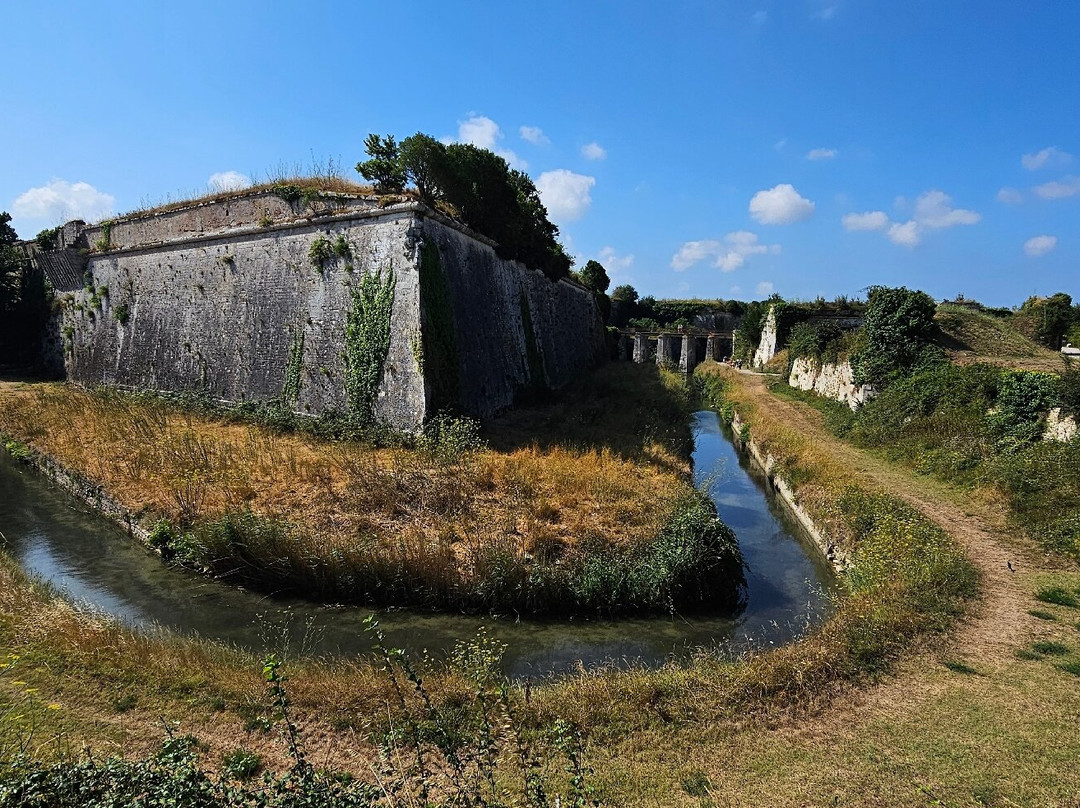 Chateau d'Oleron-奥莱龙岛必去景点