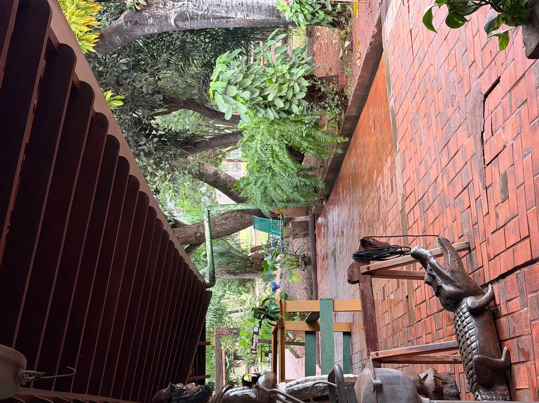 Fazenda San Francisco-米兰达必去景点