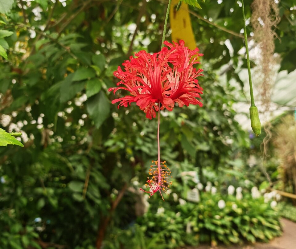 Manor Heath and Jungle Experience-哈里法克斯必去景点