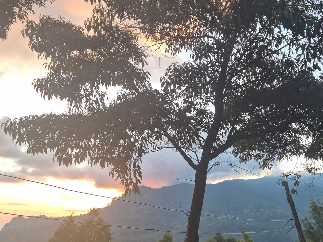 Usambara Eco Tours-卢绍托必去景点