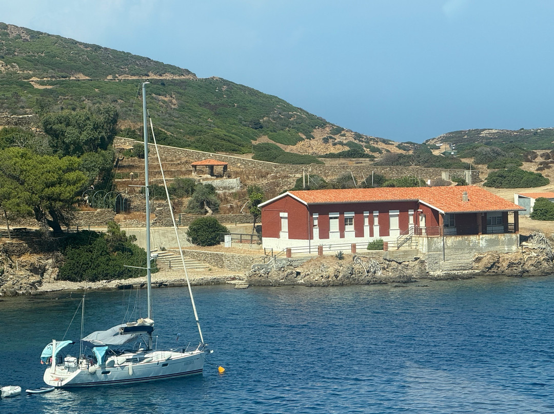 Wild Asinara Park-萨萨里省必去景点