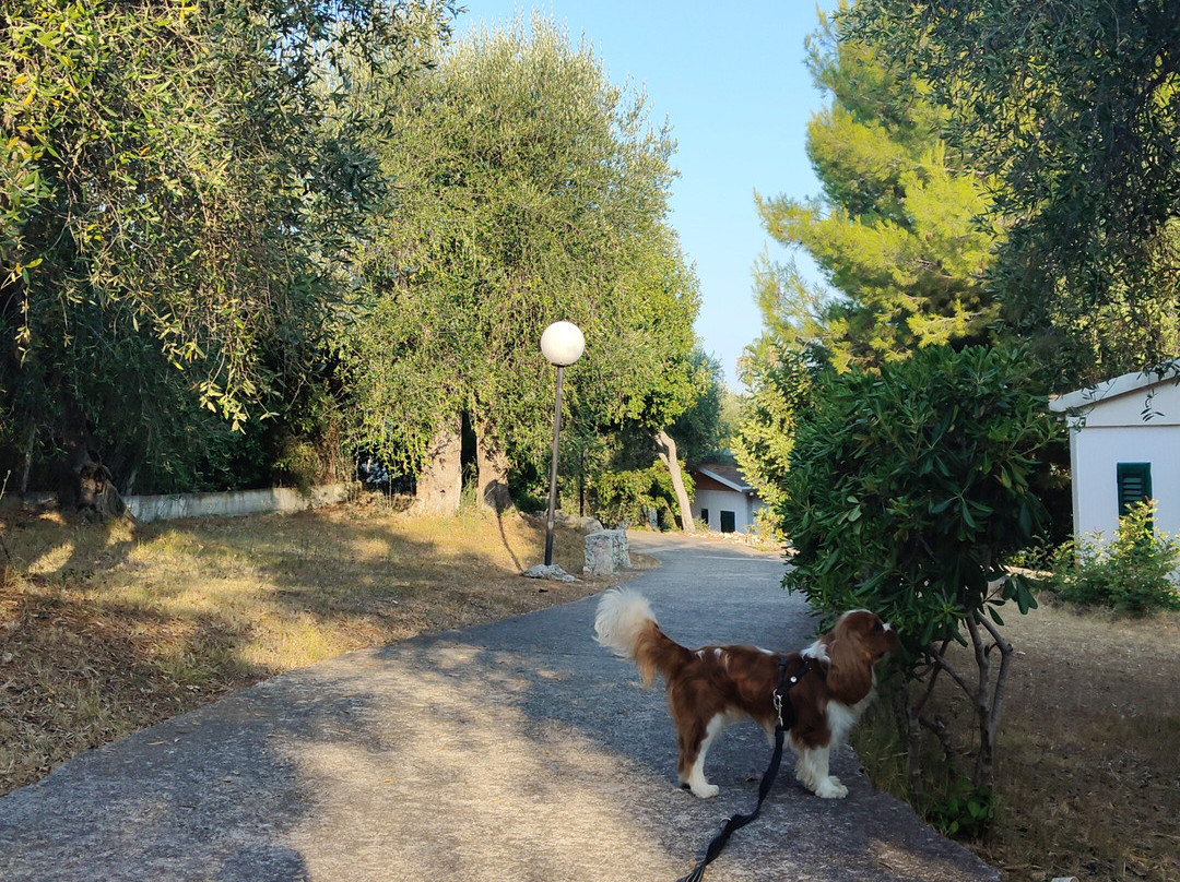 Villaggio Uliveto - Family Experience主图