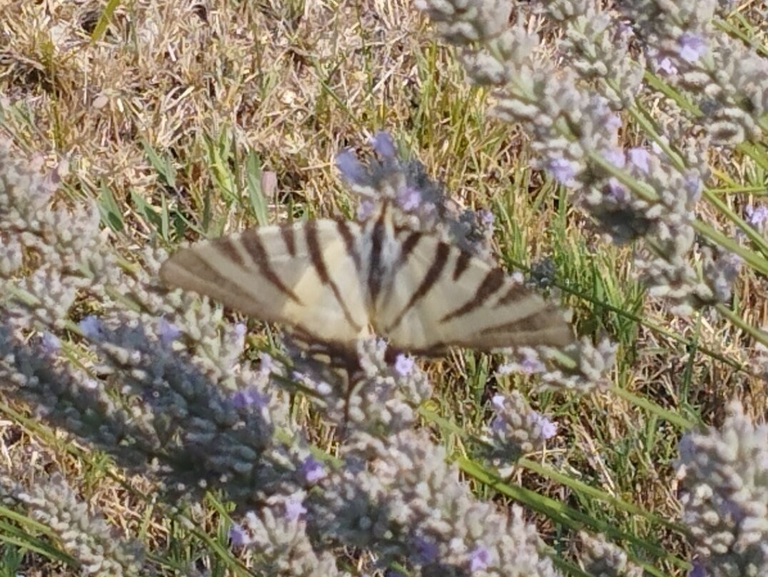 Area Natura Rio Bianco-Stenico必去景点