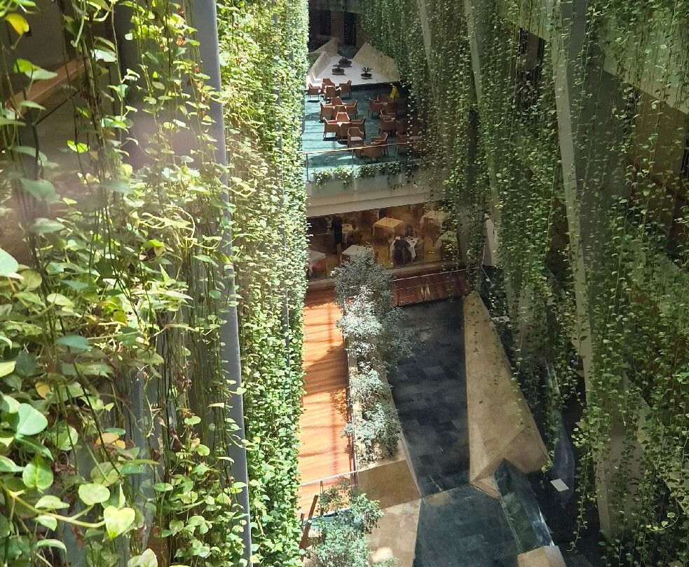 普罗图尔罗奎塔斯水疗酒店主图
