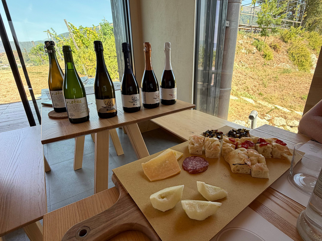 Col del lupo - Produzione e Degustazione Valdobbiadene Prosecco DOCG-Vidor必去景点