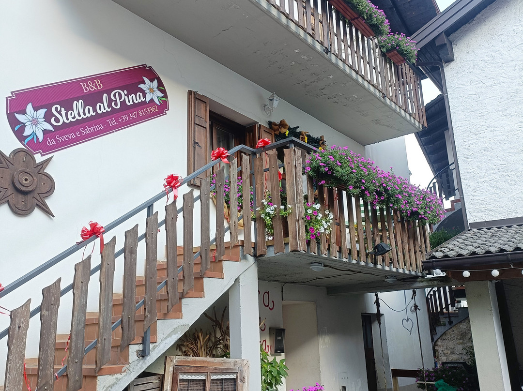 B&B Stella Al Pina主图