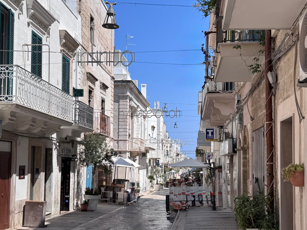 Centro Storico di Polignano a Mare-波利尼亚诺阿马雷必去景点