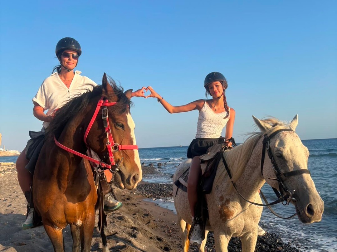 Experience Horse Riding-阿克罗蒂里必去景点