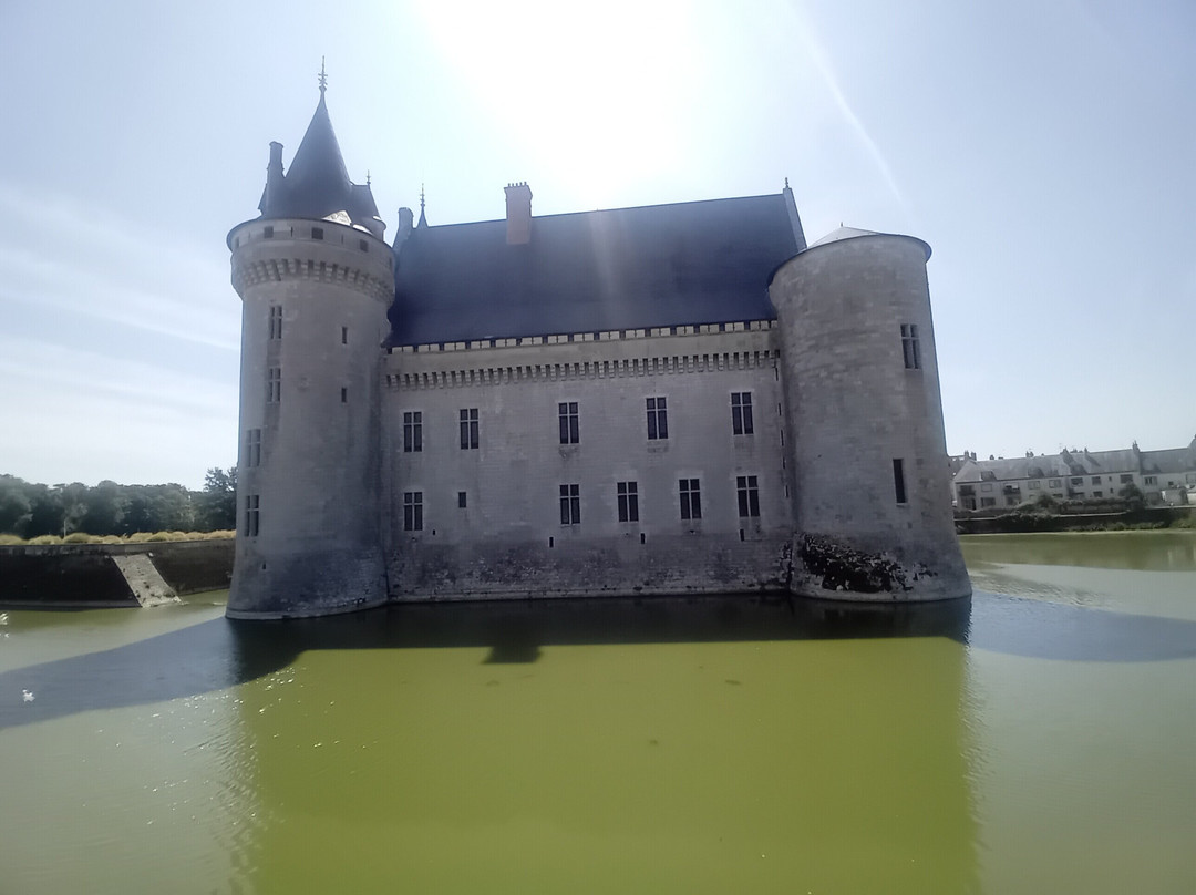 Château de Sully-sur-Loire-Sully-sur-Loire必去景点