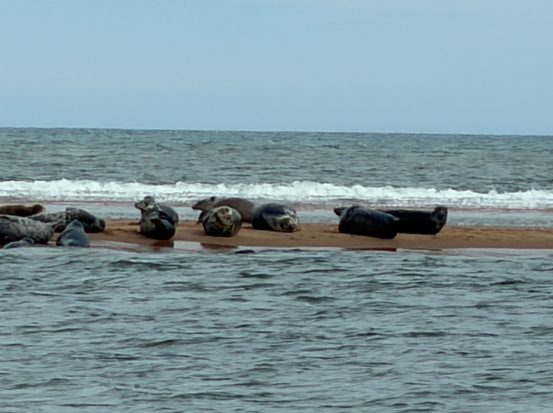 Newburgh Seals Beach-Newburgh必去景点