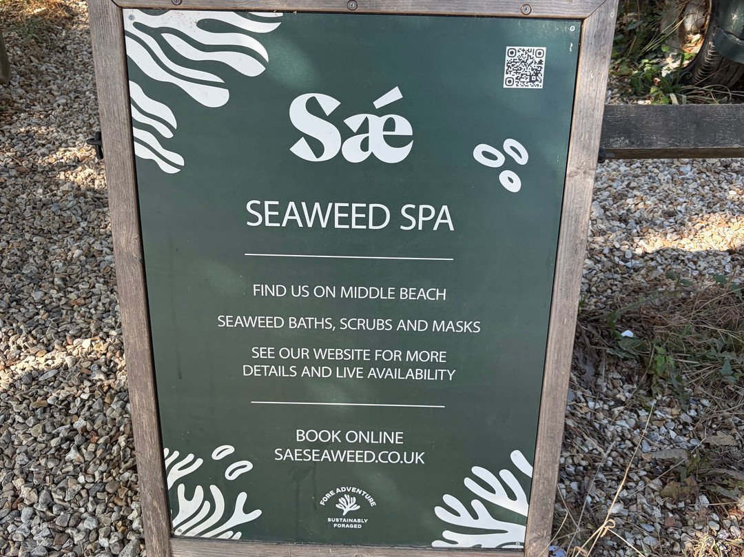 Sae Seaweed-Studland必去景点