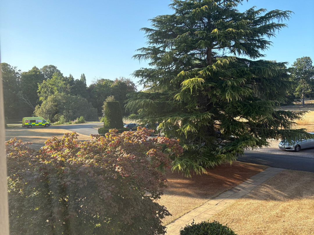 布鲁肯科特酒店主图