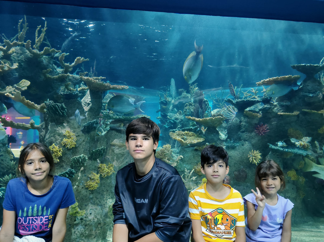 Acuario Michin Guadalajara-瓜达拉哈拉必去景点