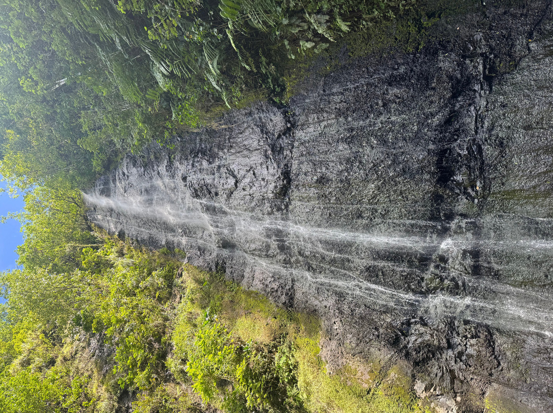 Afareaitu Waterfalls-Afareaitu必去景点