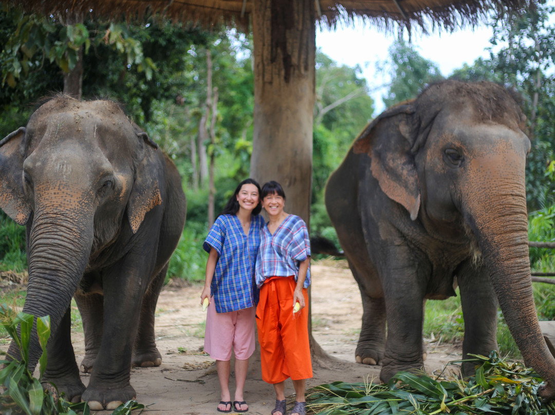 Maerim Elephant Sanctuary-夜林必去景点