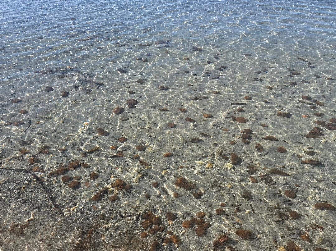 Spiaggia di Tonnarella-马扎拉－德尔瓦洛必去景点