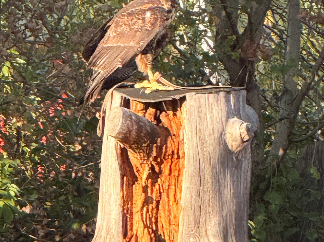 Parco Acrobati del Sole-Cividale del Friuli必去景点