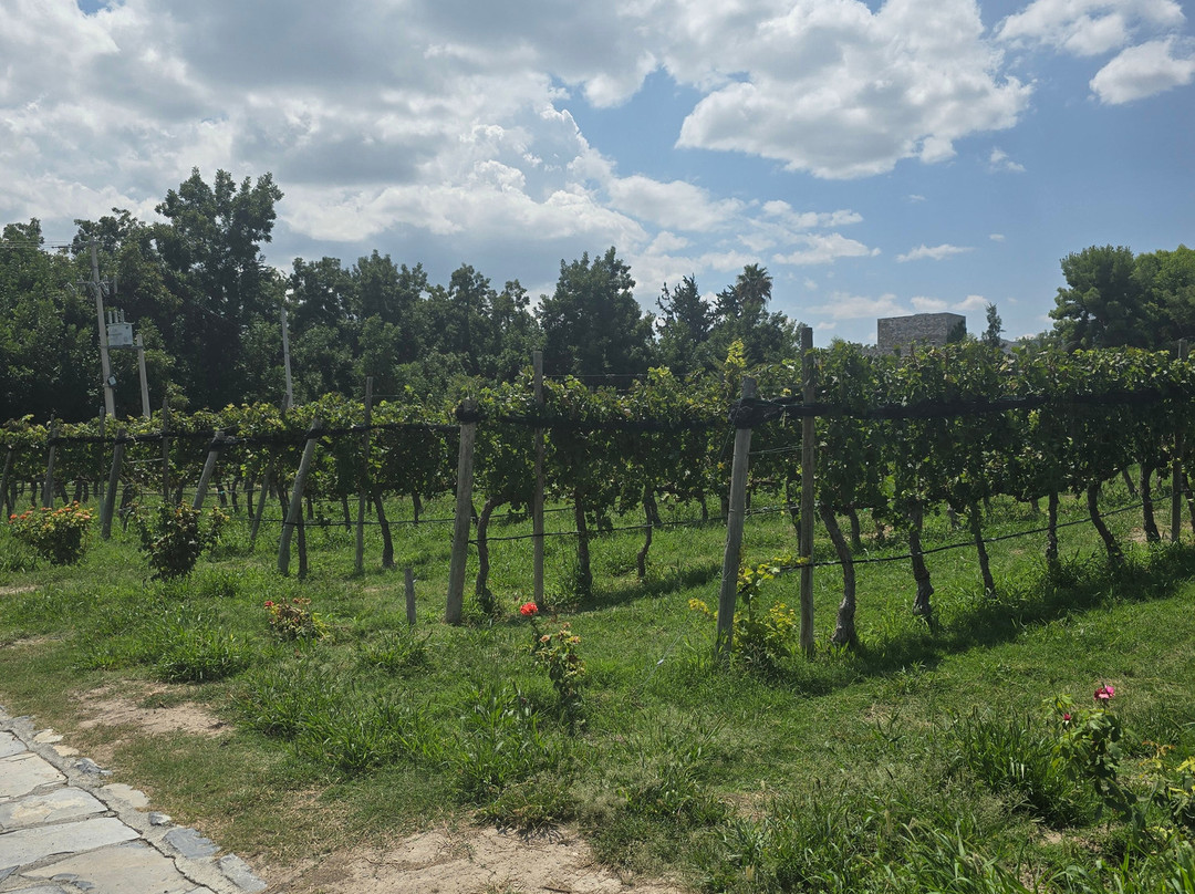 Bodega RGMX-Parras de la Fuente必去景点