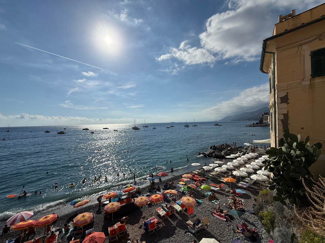 Camogli - San Rocco - Punta Chiappa Trail-卡莫利必去景点