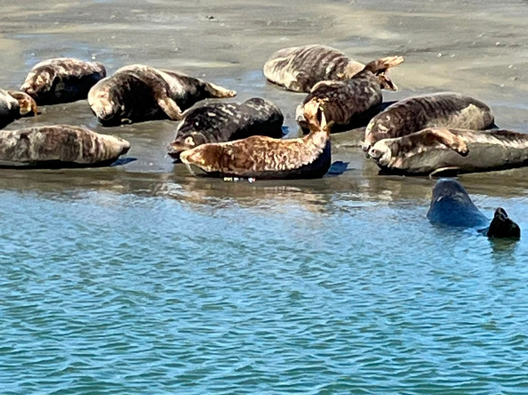 Chichester Harbour Water Tours-West Itchenor必去景点