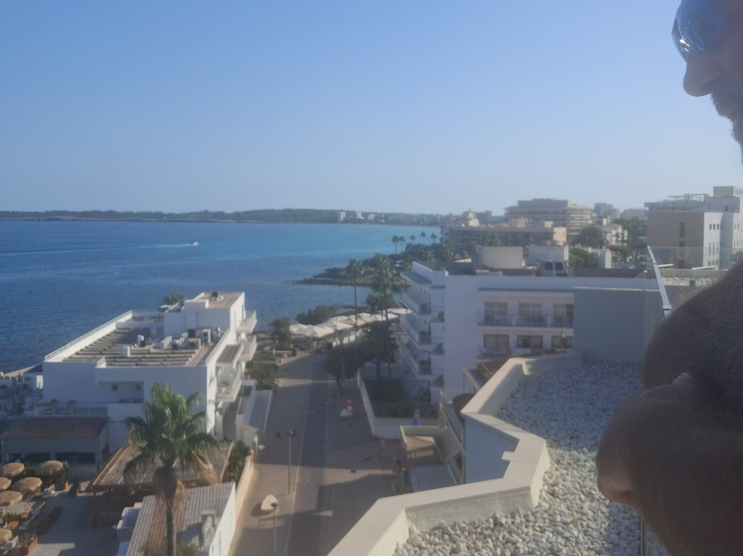 Protur Alicia Hotel主图