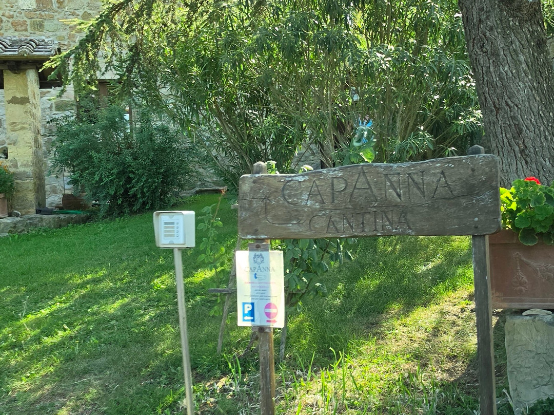 Azienda Agricola Capanna di Cencioni-蒙塔尔奇诺必去景点