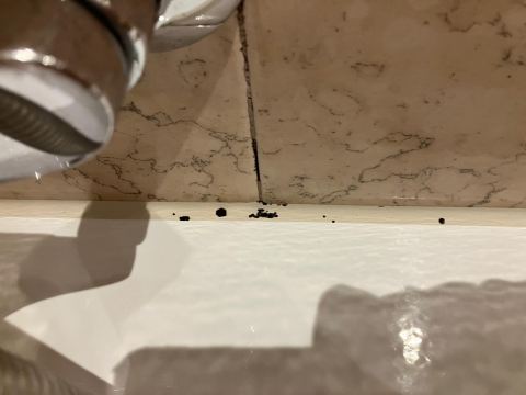 塔拉特广场酒店-浴室
