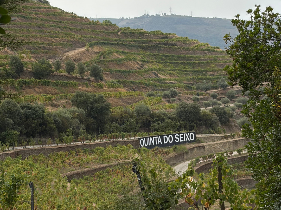 Fantastic Douro-Armamar必去景点