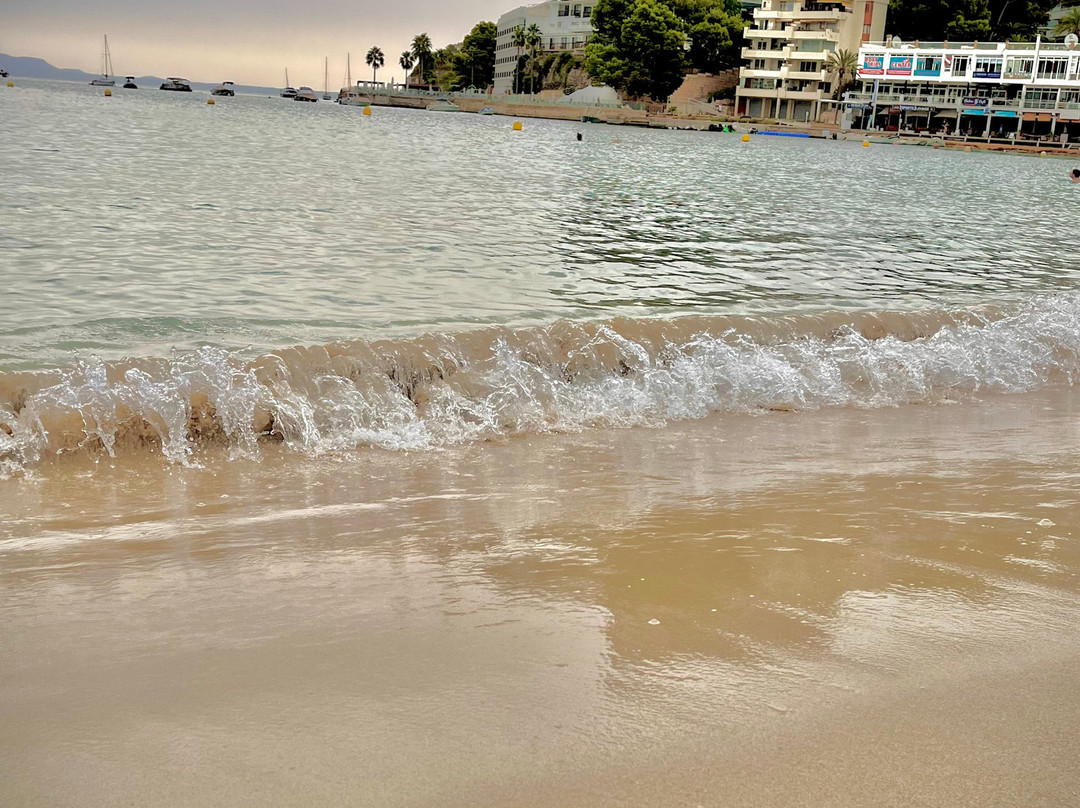 ILUNION帕尔马诺瓦马略卡酒店主图